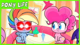 Pony Life  NEW  Rainbow Dash Loyalty Moment  Kindness Day  MLP Pony Life [upl. by Droffig738]