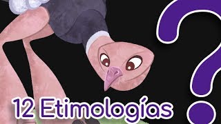 12 Palabras de origen curioso  etimologías [upl. by Kaliski628]