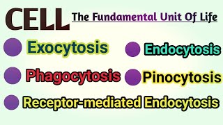 Exocytosis  Endocytosis  Phagocytosis  Pinocytosis  Receptor Mediated Endocytosis REM [upl. by Valenka766]