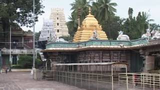 SRISAILAM MALLIKARJUNA SWAMY TEMPLE IN ANDHRA PRADESH  NALLAMALA FOREST [upl. by Mathis]