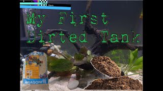 My First Dirted Tank Any Suggestions [upl. by Nylesor540]